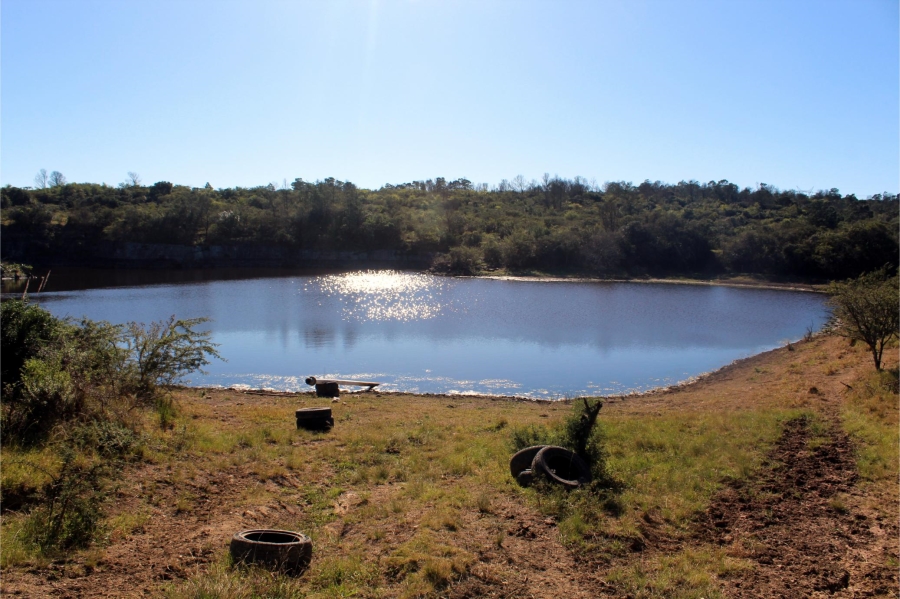 5 Bedroom Property for Sale in Mooiplaas Eastern Cape
